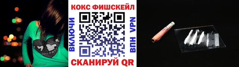 Cocaine FishScale  где продают   Раменское 
