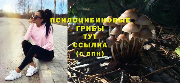 дурь Алексин