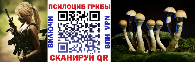 Галлюциногенные грибы Cubensis  Раменское 
